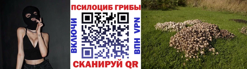 блэк спрут онион  Мытищи  Псилоцибиновые грибы ЛСД 