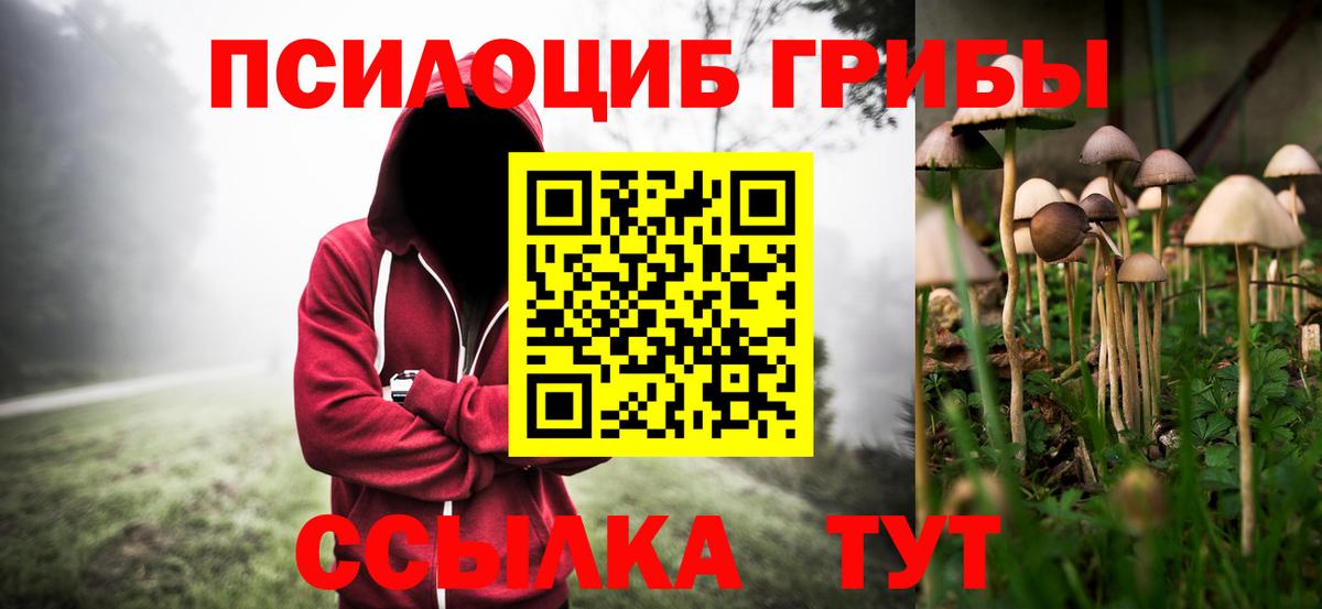 Галлюциногенные грибы мухоморы  Псилоцибиновые грибы мухоморы  наркошоп  Мытищи  Вход с VPN 