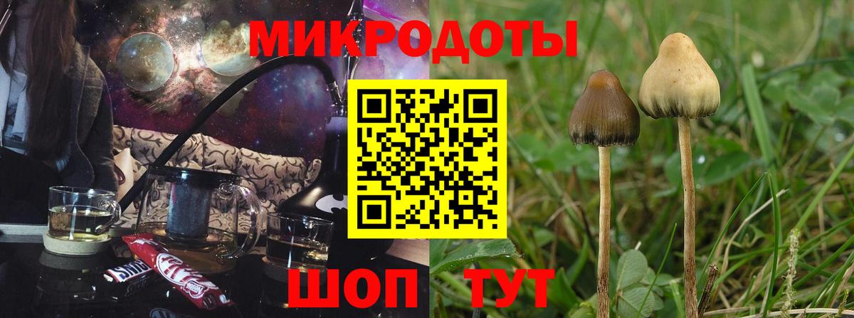 Галлюциногенные грибы ЛСД Мытищи